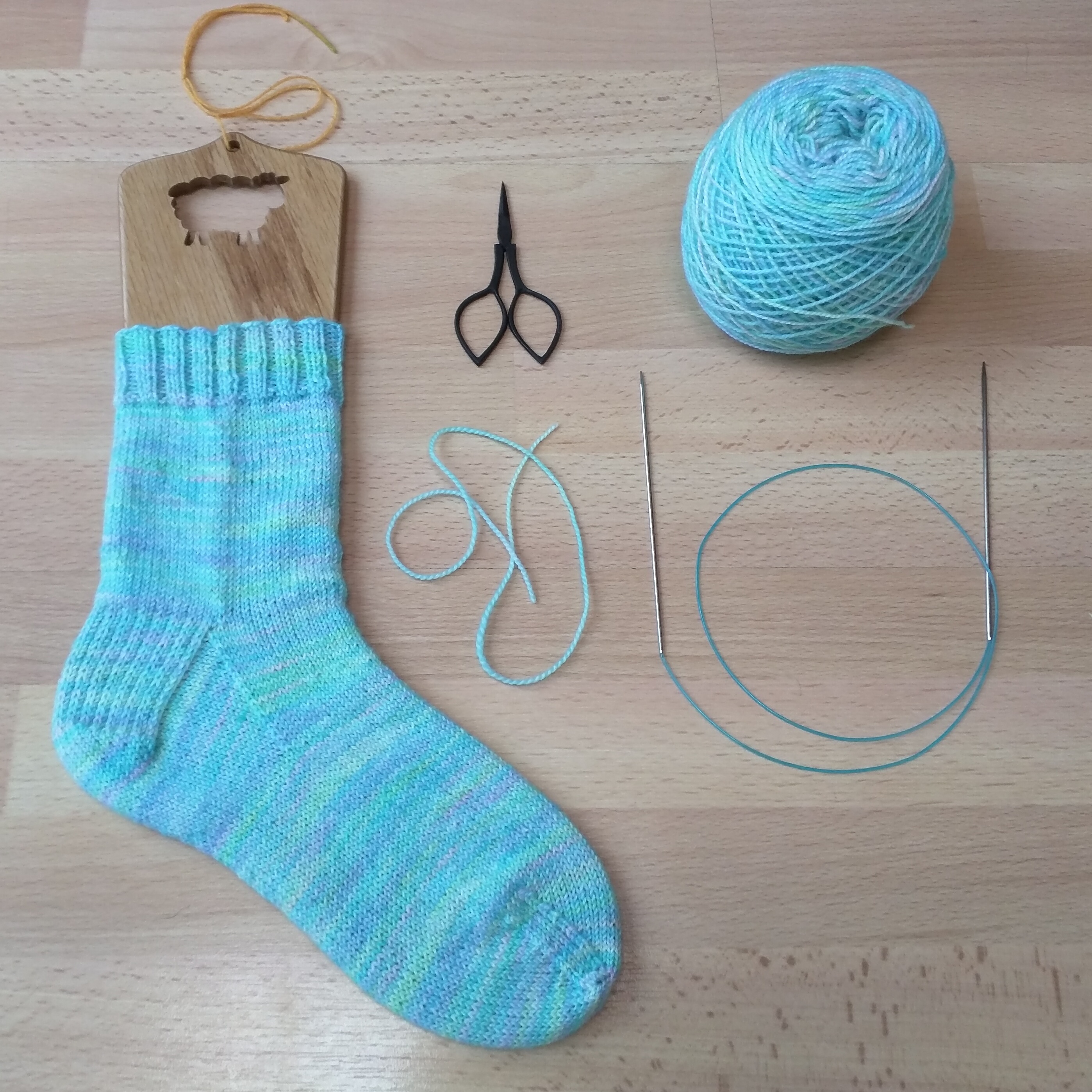 IMG_20170829_082028_448