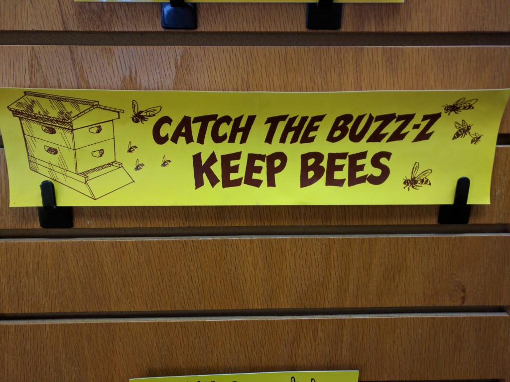 Side Quest: Catch the&nbsp;Buzz