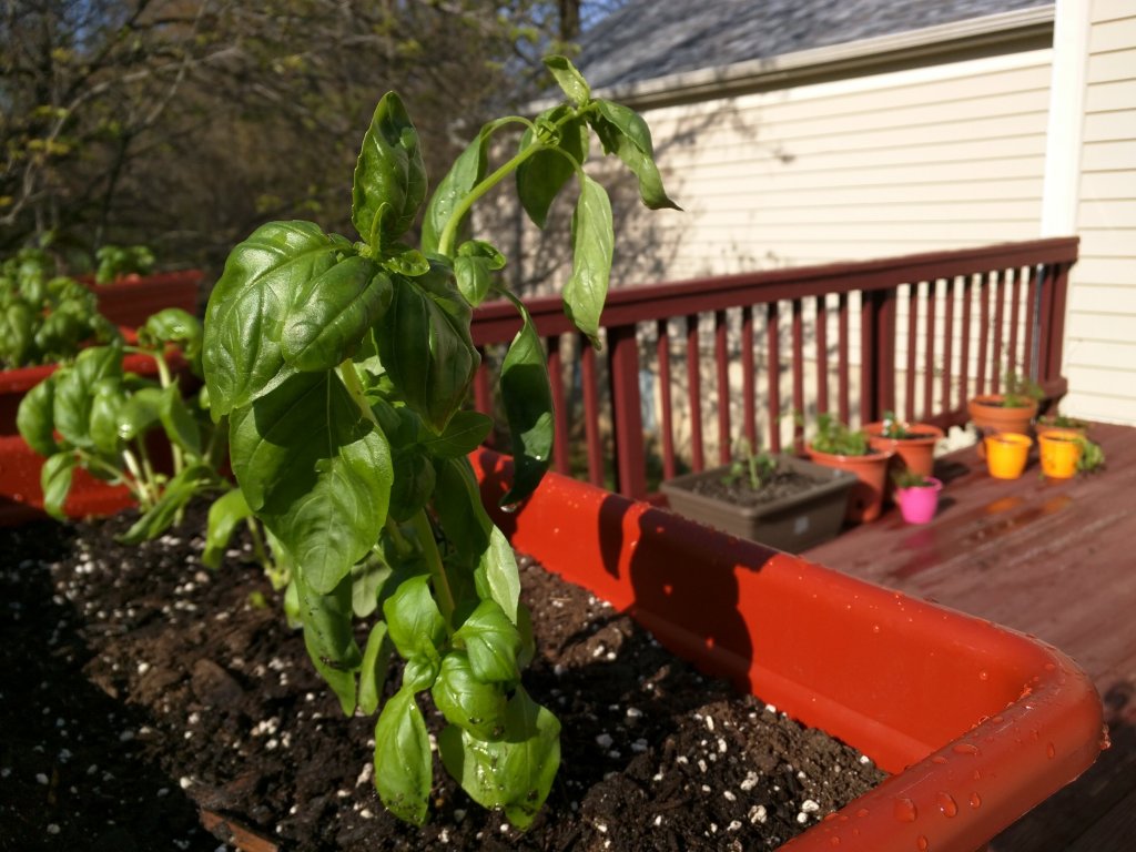 Plants, plans, and&nbsp;progress.