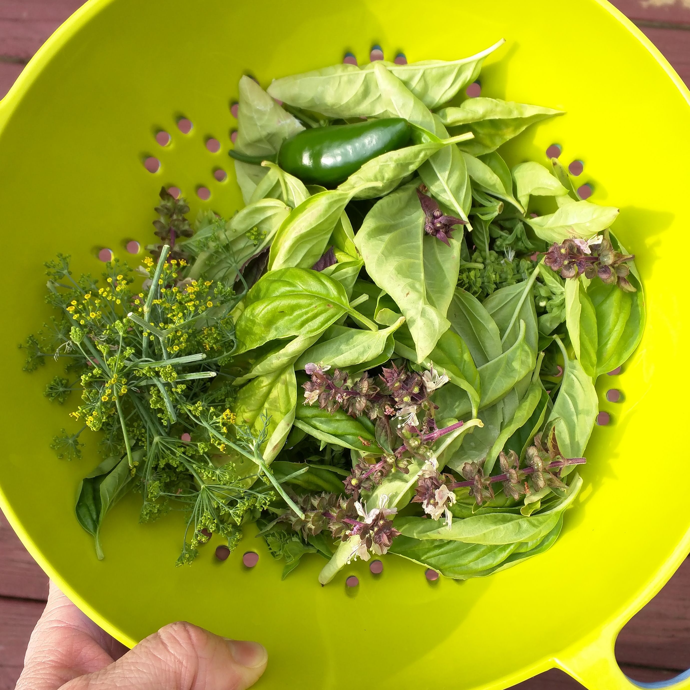 img_20180715_172601_899