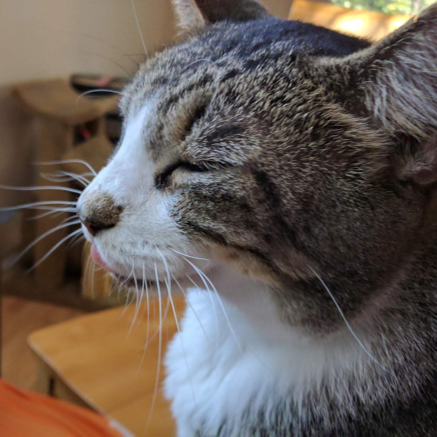 IMG_20181022_182004_162