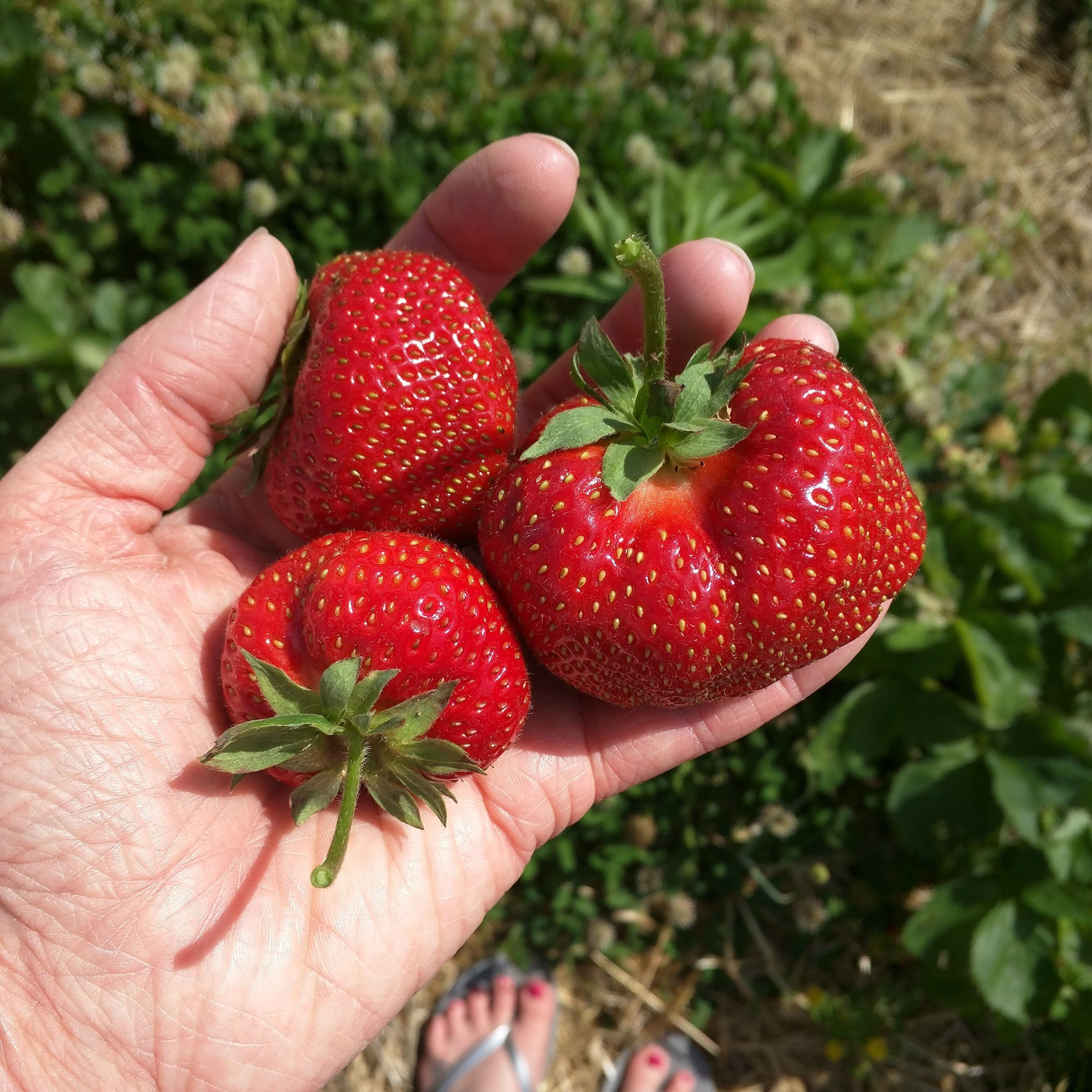 img_20190526_112337_116