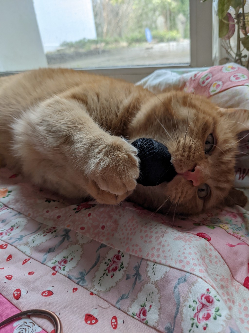 Travel socks and other&nbsp;fun.